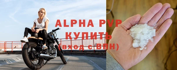 прущие грибы Дмитриев