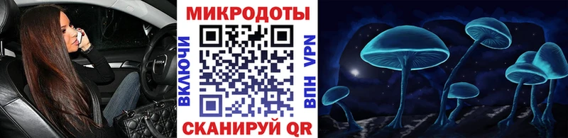 OMG сайт  Боготол  Галлюциногенные грибы GOLDEN TEACHER 